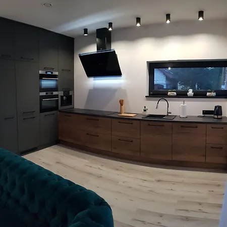 Business & Relax House 别墅 Jejkowice